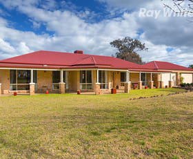 Rural / Farming commercial property sold at 968 Glenellen Road Gerogery NSW 2642