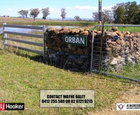 Rural / Farming commercial property sold at 176 Mount Rodd Road Bingara NSW 2404