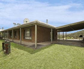 Rural / Farming commercial property sold at 570 Toms Gully Road Hickeys Creek NSW 2440