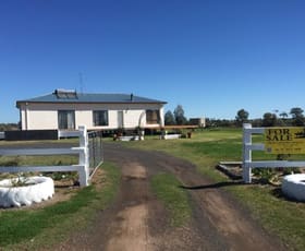 Rural / Farming commercial property sold at 312 Old Warwick Road Inglewood QLD 4387
