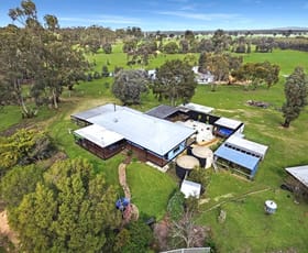 Rural / Farming commercial property sold at 139 Ralstons Lane Axedale VIC 3551