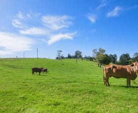 Rural / Farming commercial property sold at Lot 2/72 Freemans Rd Lower Beechmont QLD 4211