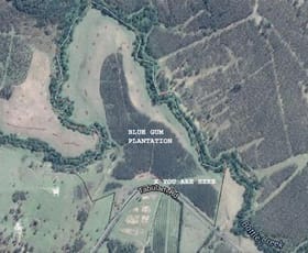 Rural / Farming commercial property sold at Lower Bottle Creek NSW 2469