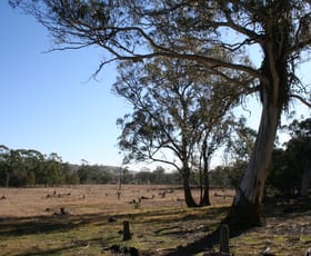 Rural / Farming commercial property sold at 108 Jones Road Manar NSW 2622