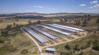 2797 Manilla Road Attunga NSW 2345 2797 Manilla Road Attunga NSW 2345