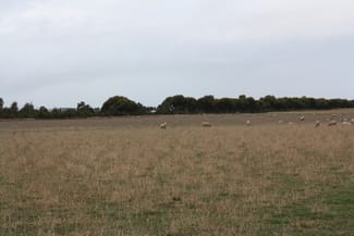 Rural / Farming commercial property leased at 415 South Barunah Road Wingeel VIC 3321