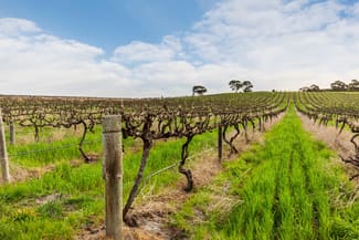 Rural / Farming commercial property sold at 211 Kays Road Blewitt Springs SA 5171
