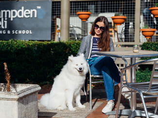 Other commercial property sold at Hampden Deli, Dining & School Kangaroo Valley NSW 2577 Other commercial property sold at Hampden Deli, Dining & School Kangaroo Valley NSW 2577
