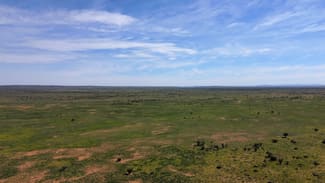 Rural / Farming commercial property for sale at Martins Well Station 2101 Erudina Road Martins Well SA 5440 Rural / Farming commercial property for sale at Martins Well Station 2101 Erudina Road Martins Well SA 5440