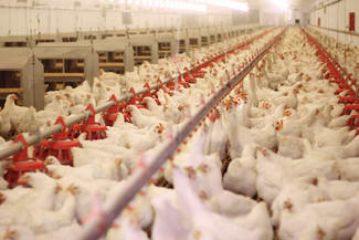 Rural / Farming commercial property sold at Rosedale VIC 3847 Rural / Farming commercial property sold at Rosedale VIC 3847