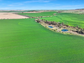 Rural / Farming commercial property for sale at Croppa Creek NSW 2411 Rural / Farming commercial property for sale at Croppa Creek NSW 2411