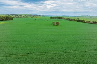 Rural / Farming commercial property for sale at 1329 Berthong Road Young NSW 2594