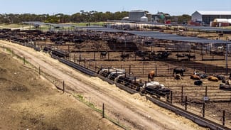 Rural / Farming commercial property for sale at 1156 Parrakie North Road Lameroo SA 5302 Rural / Farming commercial property for sale at 1156 Parrakie North Road Lameroo SA 5302