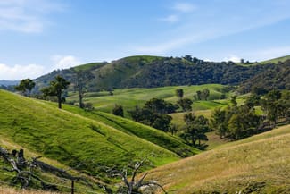 Rural / Farming commercial property for sale at 1208 Sawyers Gully Road Mullion NSW 2582