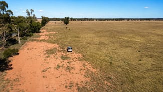 Rural / Farming commercial property for sale at 12201 Newell Highway Alleena NSW 2671 Rural / Farming commercial property for sale at 12201 Newell Highway Alleena NSW 2671