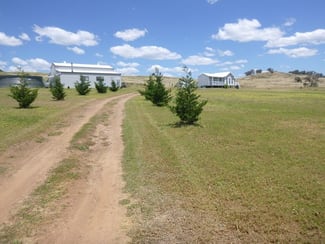 Rural / Farming commercial property sold at 94 Kirribilli Road Canowindra NSW 2804 Rural / Farming commercial property sold at 94 Kirribilli Road Canowindra NSW 2804