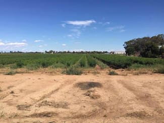 Rural / Farming commercial property for lease at 70 Lemnos North Road Lemnos VIC 3631 Rural / Farming commercial property for lease at 70 Lemnos North Road Lemnos VIC 3631