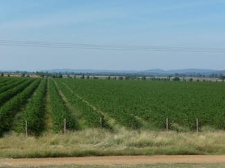 Rural / Farming commercial property sold at Billimari NSW 2804