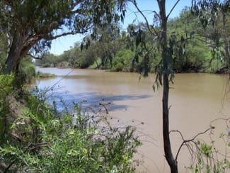 Rural / Farming commercial property sold at Wallangra NSW 2360 Rural / Farming commercial property sold at Wallangra NSW 2360