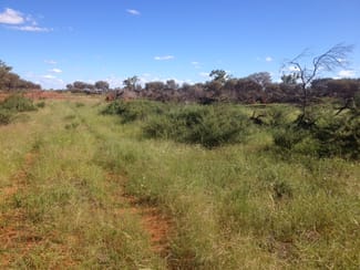 Rural / Farming commercial property sold at '' PENAROO" Eulo QLD 4491 Rural / Farming commercial property sold at '' PENAROO" Eulo QLD 4491