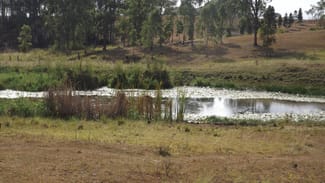 Rural / Farming commercial property sold at 249 Dyraaba Dyraaba NSW 2470