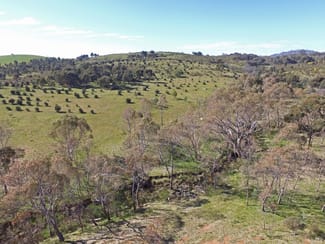 Rural / Farming commercial property sold at 1 Barry Lane Tooborac VIC 3522