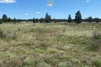 Rural / Farming commercial property sold at "Wandong" Beveridges Road Baradine NSW 2396 Rural / Farming commercial property sold at "Wandong" Beveridges Road Baradine NSW 2396