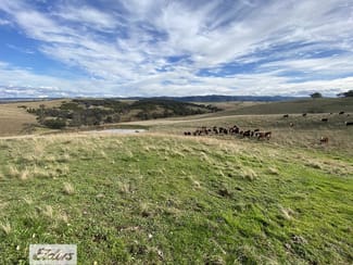 Rural / Farming commercial property for sale at 1483 Licola Road Glenmaggie VIC 3858 Rural / Farming commercial property for sale at 1483 Licola Road Glenmaggie VIC 3858