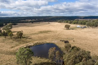 Rural / Farming commercial property sold at 962 Blue Springs Road Cope Gulgong NSW 2852 Rural / Farming commercial property sold at 962 Blue Springs Road Cope Gulgong NSW 2852