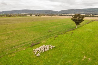 Rural / Farming commercial property sold at 587 Tallarook Road Cowra NSW 2794