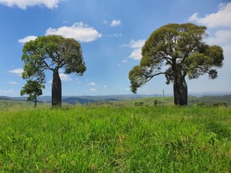Rural / Farming commercial property for sale at Tellebang Road Monto QLD 4630 Rural / Farming commercial property for sale at Tellebang Road Monto QLD 4630
