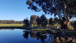Rural / Farming commercial property sold at 164 Mount View Rd Goldsborough VIC 3472 Rural / Farming commercial property sold at 164 Mount View Rd Goldsborough VIC 3472