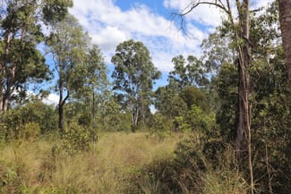 Rural / Farming commercial property for sale at Lot A Forestry Road Gurgeena QLD 4626
