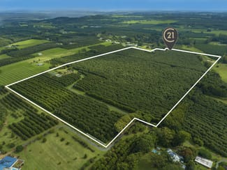 Rural / Farming commercial property for sale at 425 Wardell Road Alstonville NSW 2477