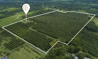 Rural / Farming commercial property for sale at 425 Wardell Road Alstonville NSW 2477