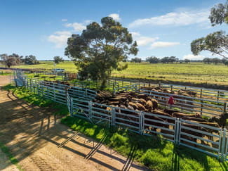Rural / Farming commercial property for sale at 495 Burraboi Road Barham NSW 2732 Rural / Farming commercial property for sale at 495 Burraboi Road Barham NSW 2732