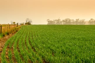 Rural / Farming commercial property sold at R M Williams Way Jamestown SA 5491 Rural / Farming commercial property sold at R M Williams Way Jamestown SA 5491