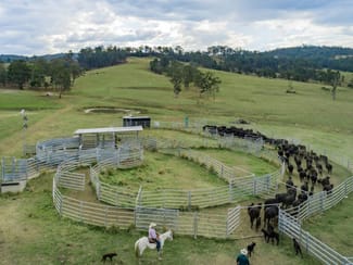 Rural / Farming commercial property for sale at 276 Farm Road Bonalbo NSW 2469 Rural / Farming commercial property for sale at 276 Farm Road Bonalbo NSW 2469