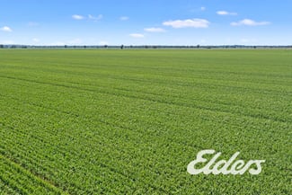 Rural / Farming commercial property sold at 235 Clearview Road Savernake NSW 2646