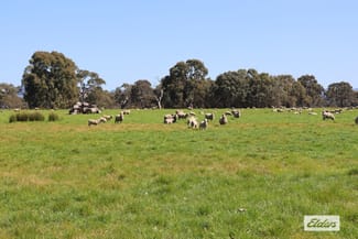 Rural / Farming commercial property for sale at CA 91a 91b Mitchell Street Glenthompson VIC 3293