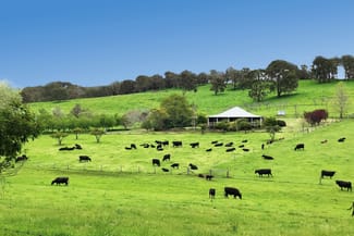 Rural / Farming commercial property sold at 217 Wildmere Road (Charley Creek) Donnybrook WA 6239 Rural / Farming commercial property sold at 217 Wildmere Road (Charley Creek) Donnybrook WA 6239