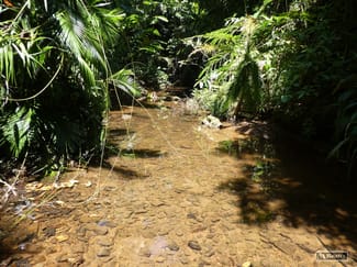Rural / Farming commercial property sold at Bombeeta QLD 4871