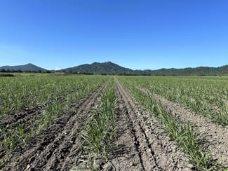 Rural / Farming commercial property for sale at East Feluga QLD 4854 Rural / Farming commercial property for sale at East Feluga QLD 4854