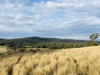 Rural / Farming commercial property for sale at Lots 1,2 &5 West Tamar Highway Loira TAS 7275 Rural / Farming commercial property for sale at Lots 1,2 &5 West Tamar Highway Loira TAS 7275