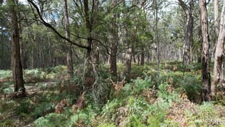 Rural / Farming commercial property for sale at "Myamyn East" Triggers Road Myamyn VIC 3304 Rural / Farming commercial property for sale at "Myamyn East" Triggers Road Myamyn VIC 3304