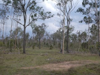 Rural / Farming commercial property sold at Lot 115 Gigoomgan Road Brooweena QLD 4620 Rural / Farming commercial property sold at Lot 115 Gigoomgan Road Brooweena QLD 4620