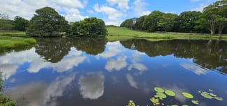 Rural / Farming commercial property sold at Mcleans Ridges NSW 2480