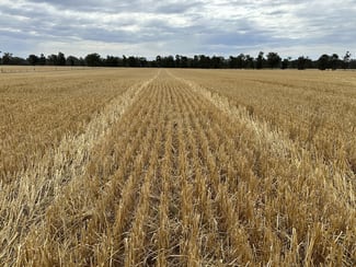 Rural / Farming commercial property sold at 126-184 Henty Walla Road Henty NSW 2658