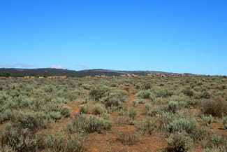 Rural / Farming commercial property for sale at 'Markeys' Bri Glen Springs Road Wonna SA 5419
