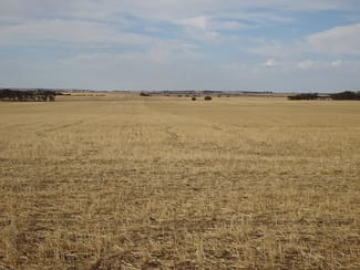 Rural / Farming commercial property sold at Treloars Road North Kukerin WA 6352